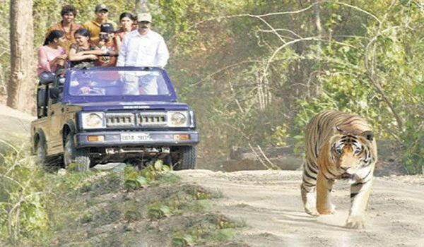 Bannerghatta National Park