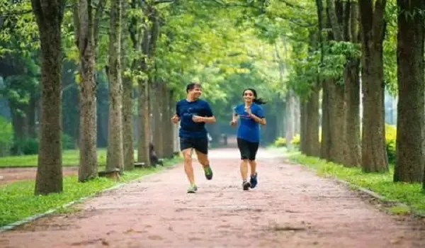 Prestige Autumn Leaves Jogging Track